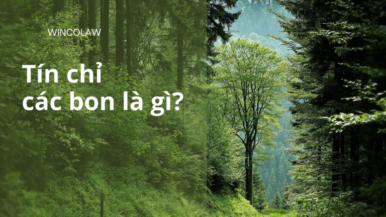 Đến bao giờ Việt Nam sẽ xây dựng riêng luật về tín chỉ các bon và thị trường tín chỉ cacbon?