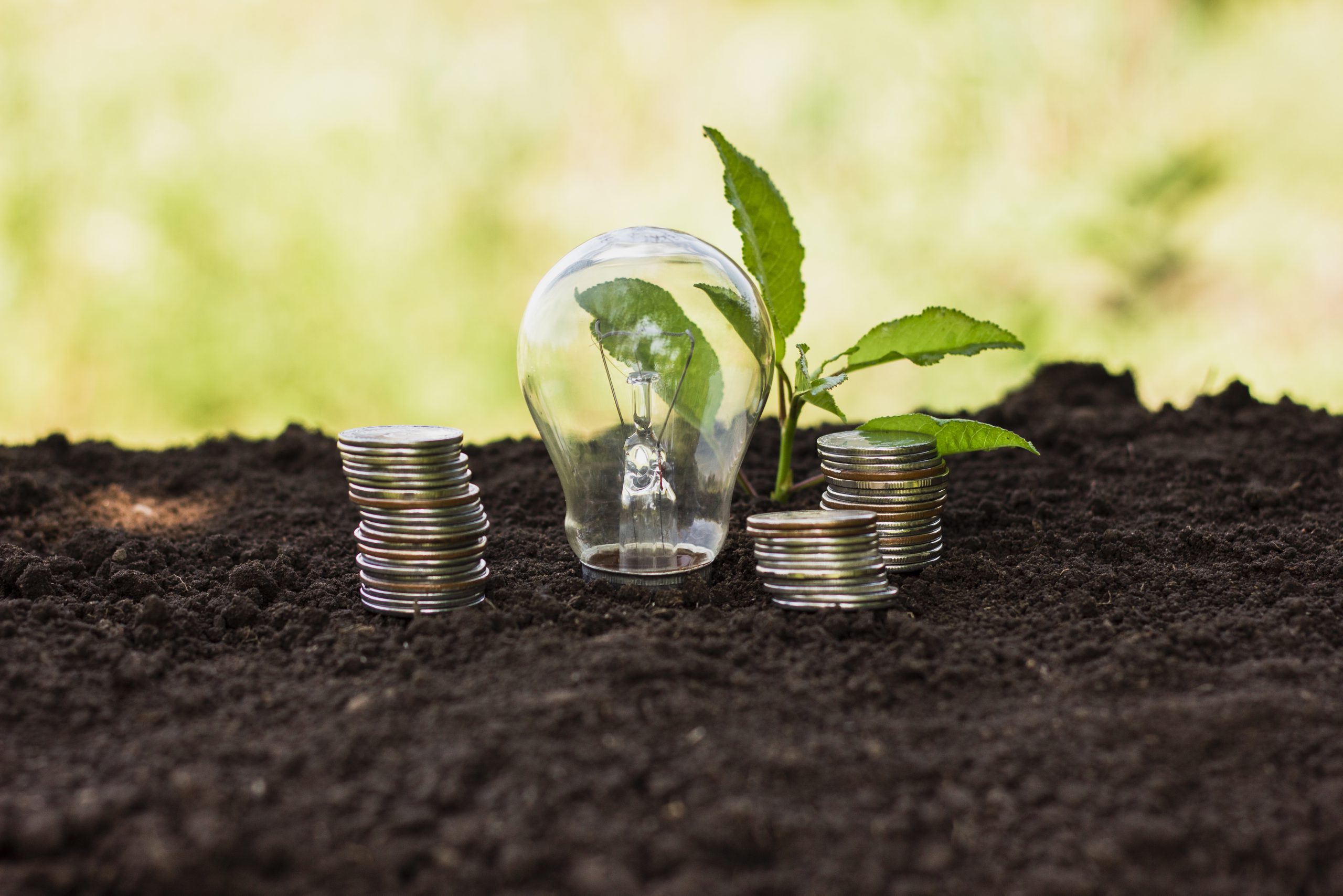 ESG investing with carbon credits – what investors need to know