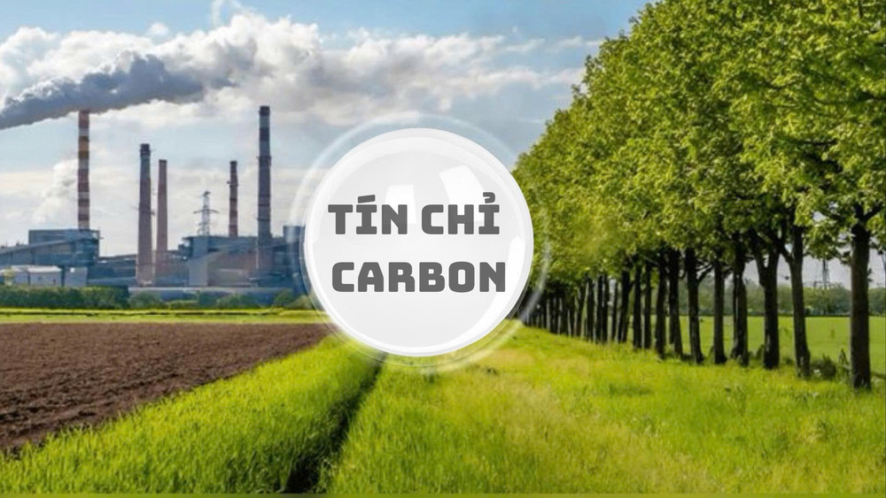 Thuật ngữ tín chỉ carbon