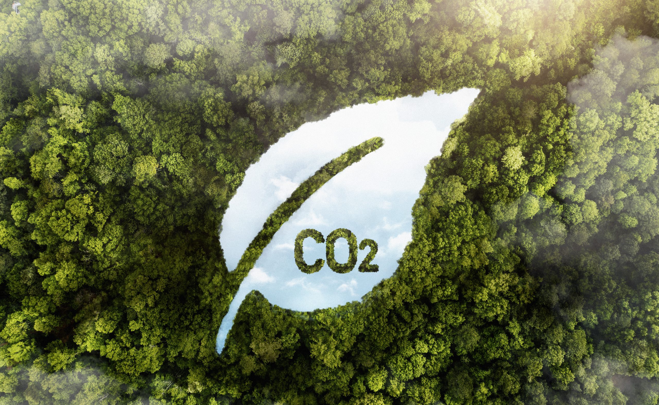 The Ultimate Guide to Understanding Carbon Credits